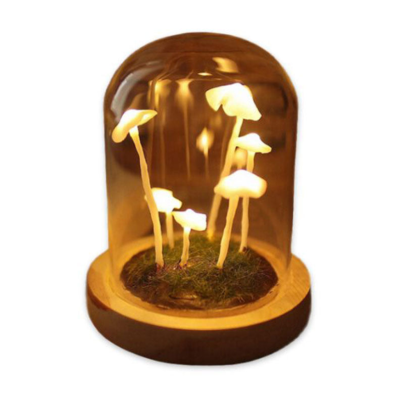 Handmade DIY Mushroom Night Light Craft Kit