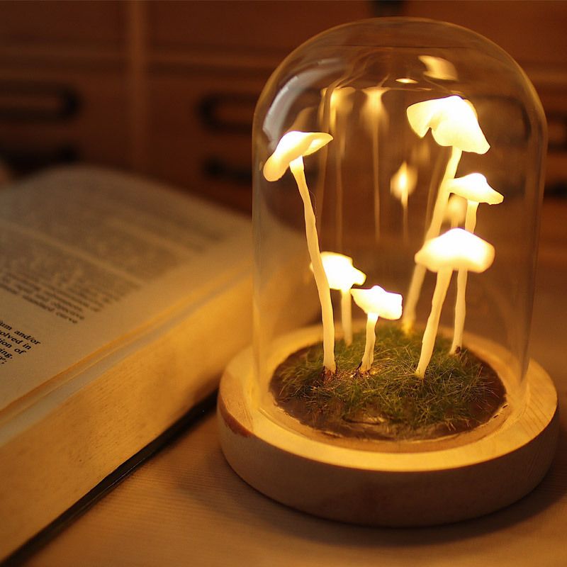 Handmade DIY Mushroom Night Light Craft Kit