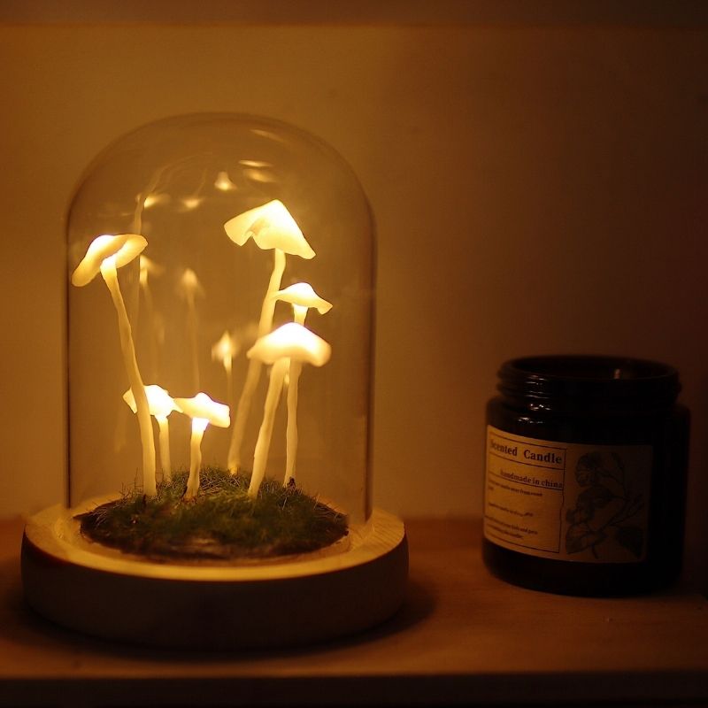 Handmade DIY Mushroom Night Light Craft Kit