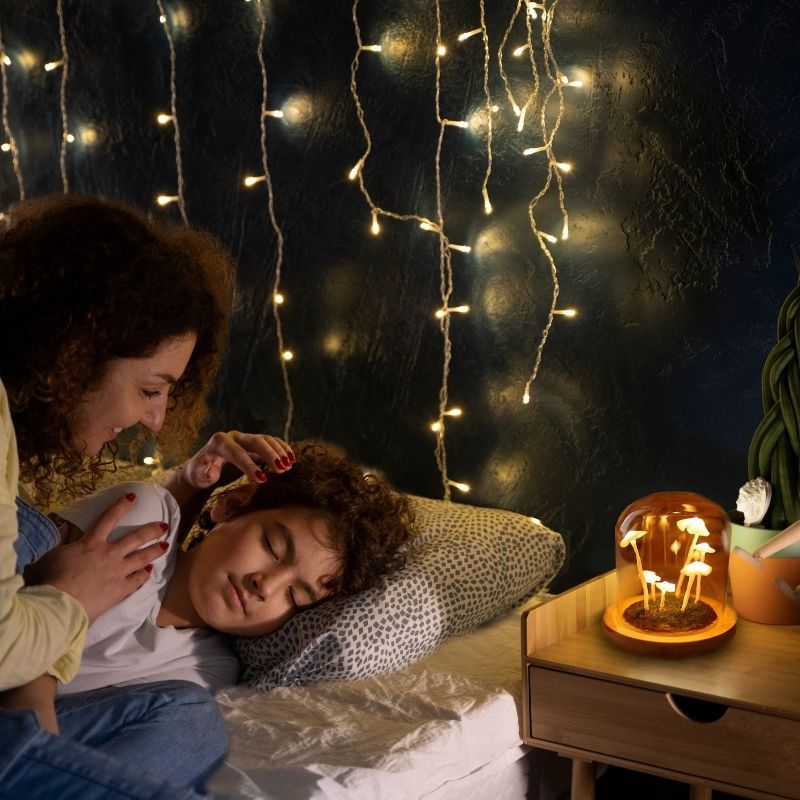 Handmade DIY Mushroom Night Light Craft Kit