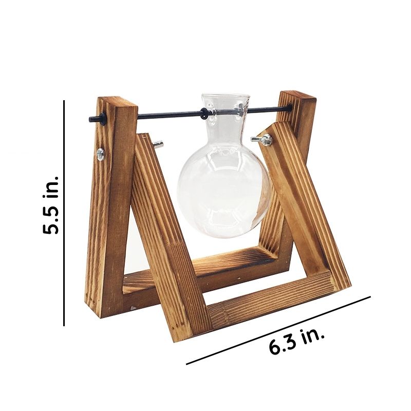 Clear Glass Hydroponic Plant Vase for Indoor Decor