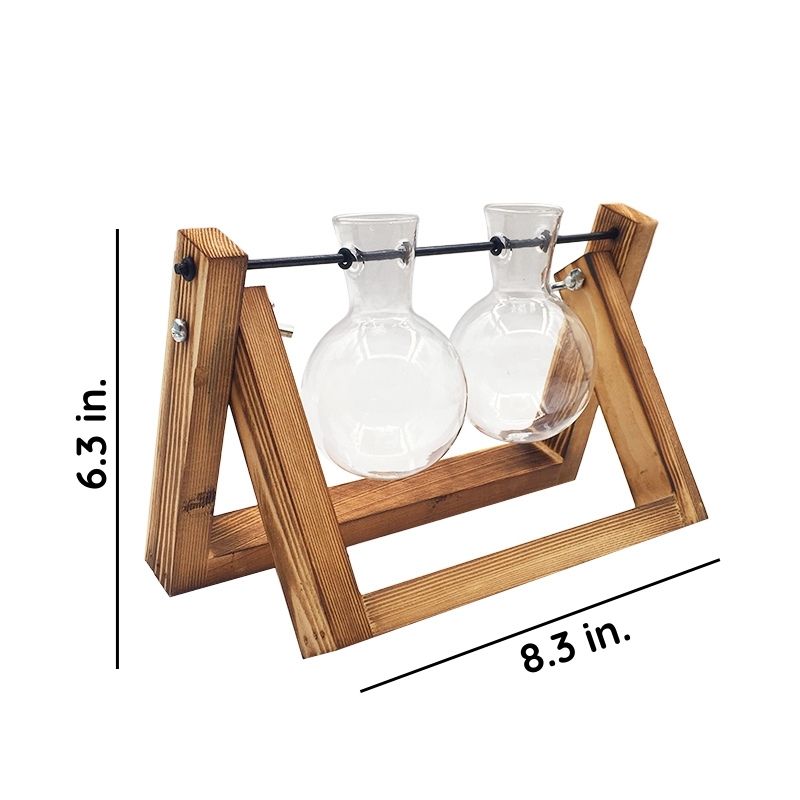Clear Glass Hydroponic Plant Vase for Indoor Decor