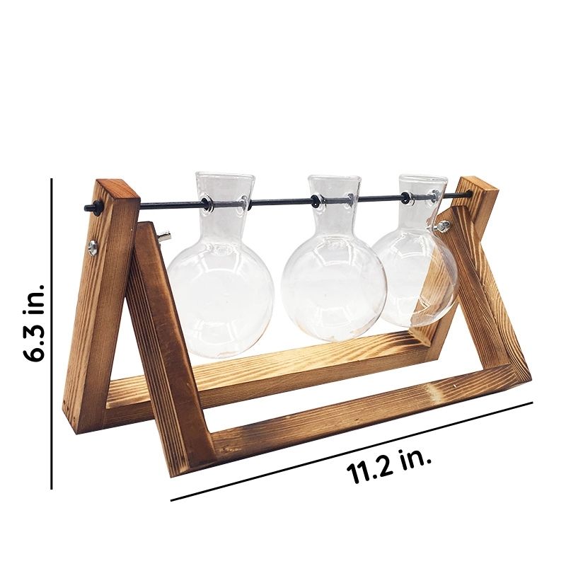 Clear Glass Hydroponic Plant Vase for Indoor Decor