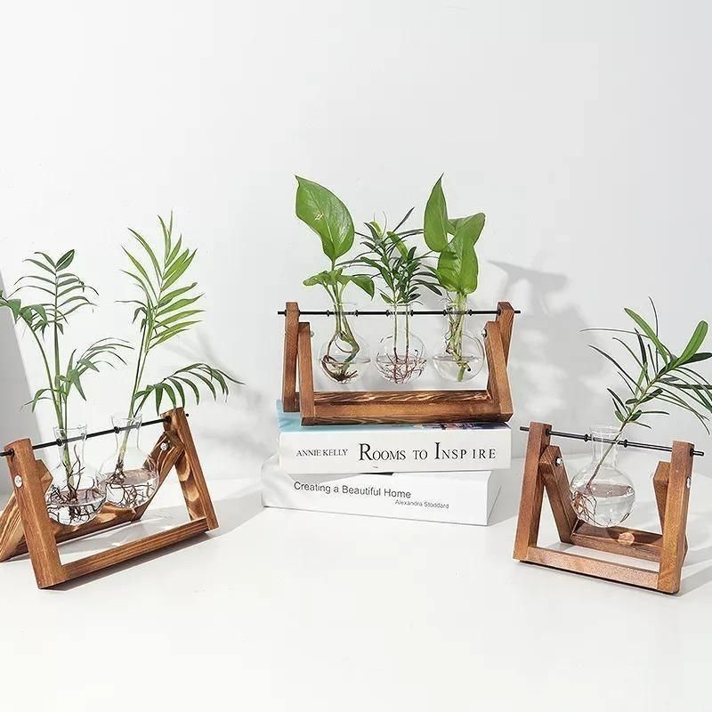 Clear Glass Hydroponic Plant Vase for Indoor Decor