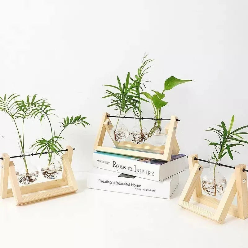 Clear Glass Hydroponic Plant Vase for Indoor Decor