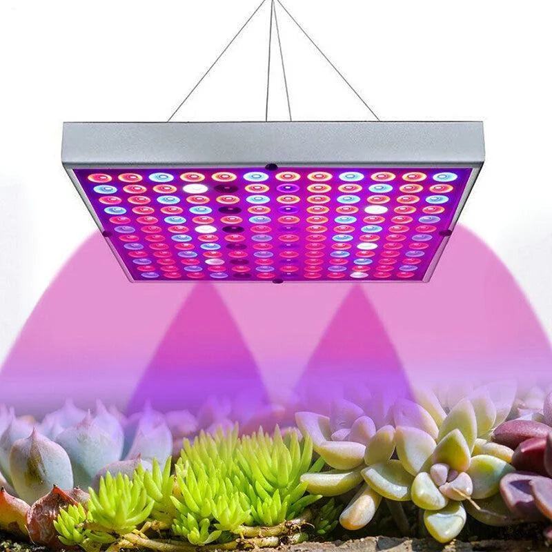 Full Spectrum LED Growth Lamp for Indoor Plants