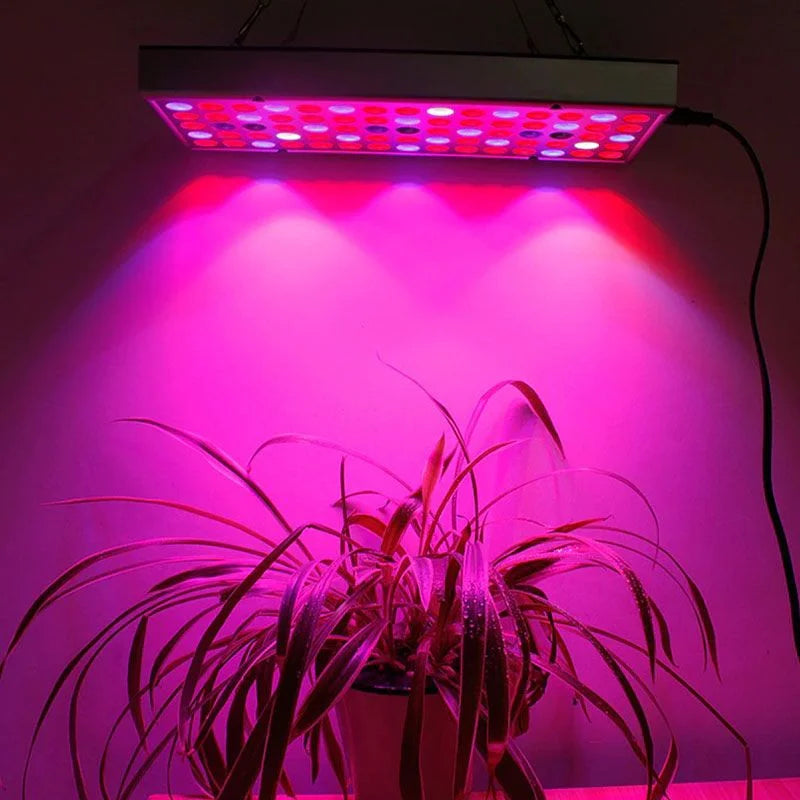Full Spectrum LED Growth Lamp for Indoor Plants