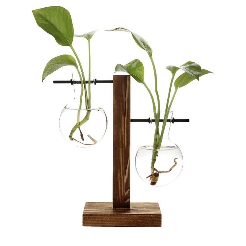Wooden Frame Glass Hydroponic Plant Vase Decor