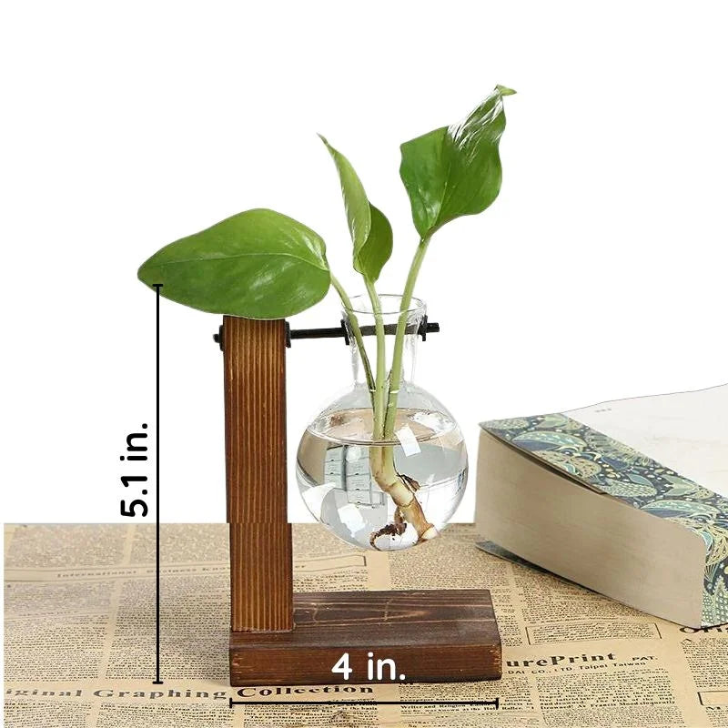 Wooden Frame Glass Hydroponic Plant Vase Decor