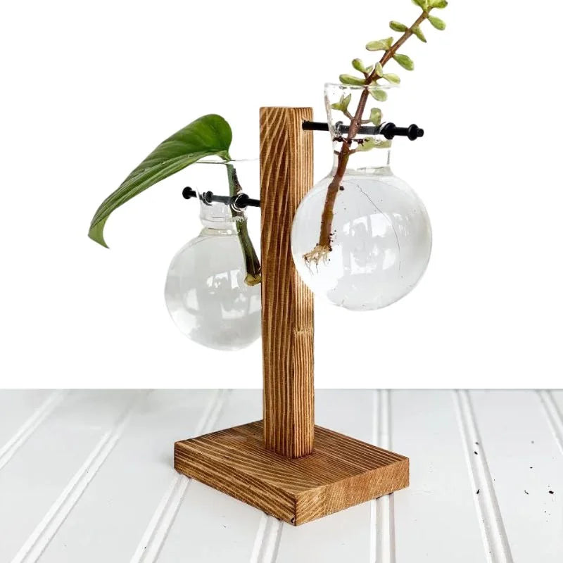 Wooden Frame Glass Hydroponic Plant Vase Decor